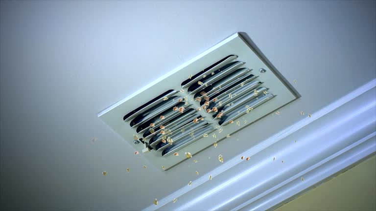 Best Air Duct Cleaning Near Me  in Salunga, PA