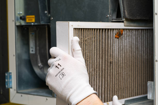 Best Air Quality Test  in Salunga, PA