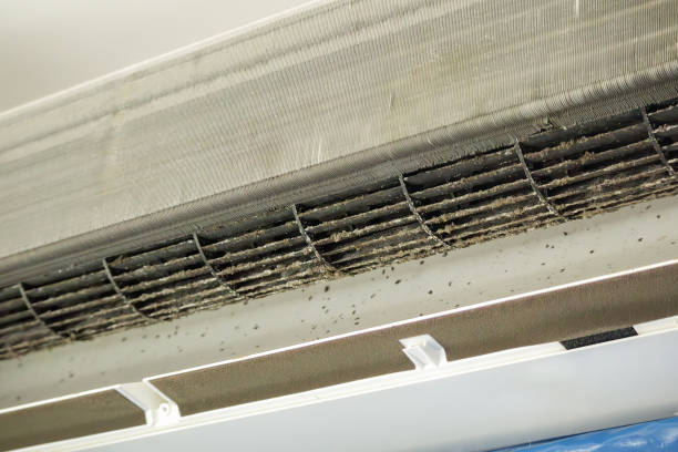 Best Air Duct Cleaning Near Me  in Salunga, PA